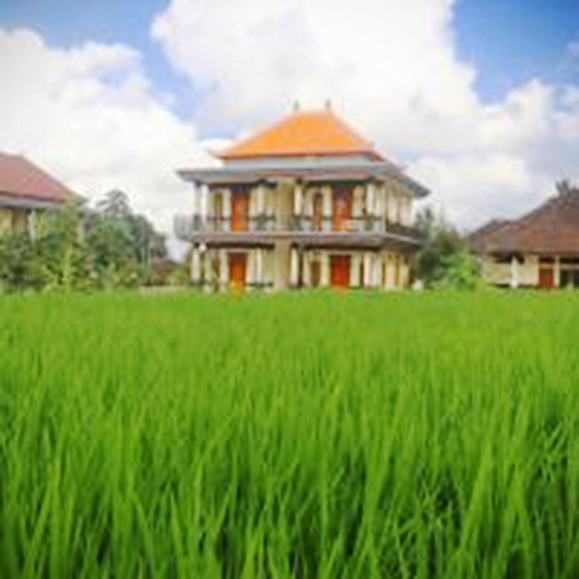 Puri Prana Guest House Ubud  Luaran gambar
